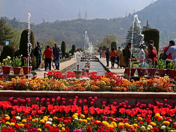 Indira gandhi memorial tulip garden